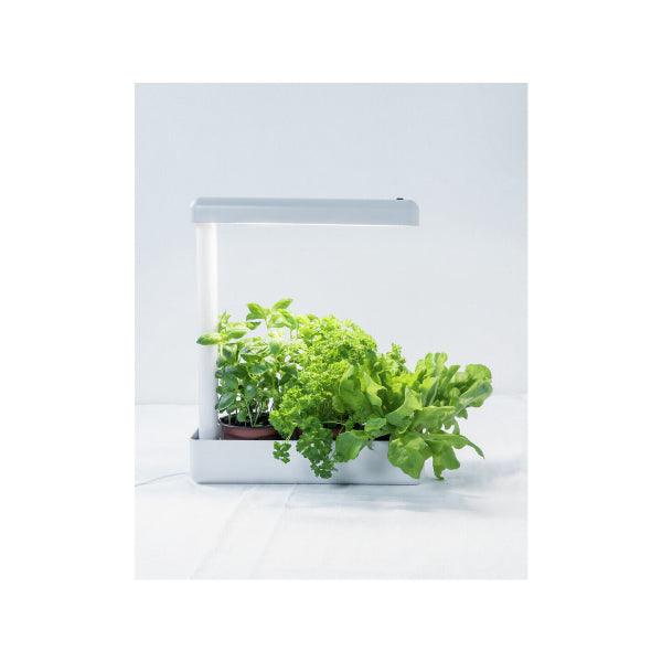 Plant lamp Airam Herby, 650 lm - SPEED LIGHT