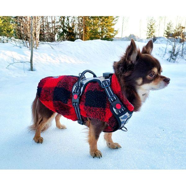 Harness Light5 Doggo Led Harness, Camo - SPEED LIGHT