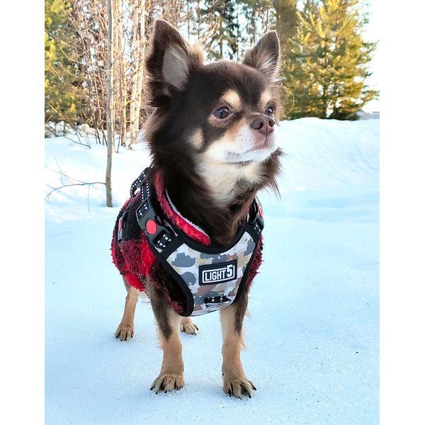 Harness Light5 Doggo Led Harness, Camo - SPEED LIGHT