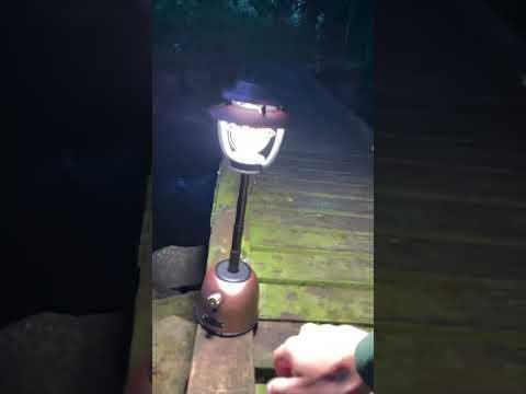 LED lantern Olight Olantern Stretch, 500 lm - SPEED LIGHT