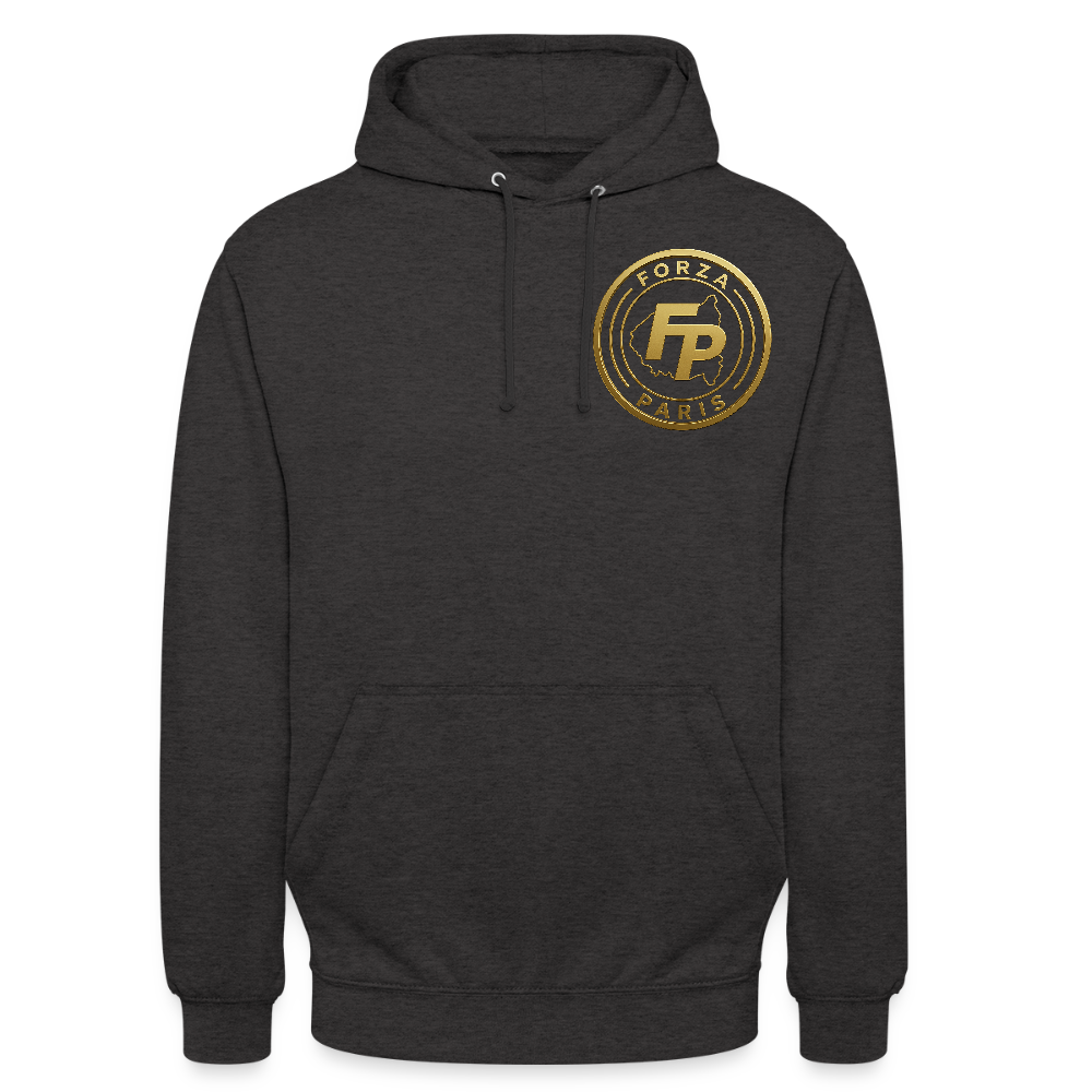 Sweat-shirt à capuche unisexe - charbon