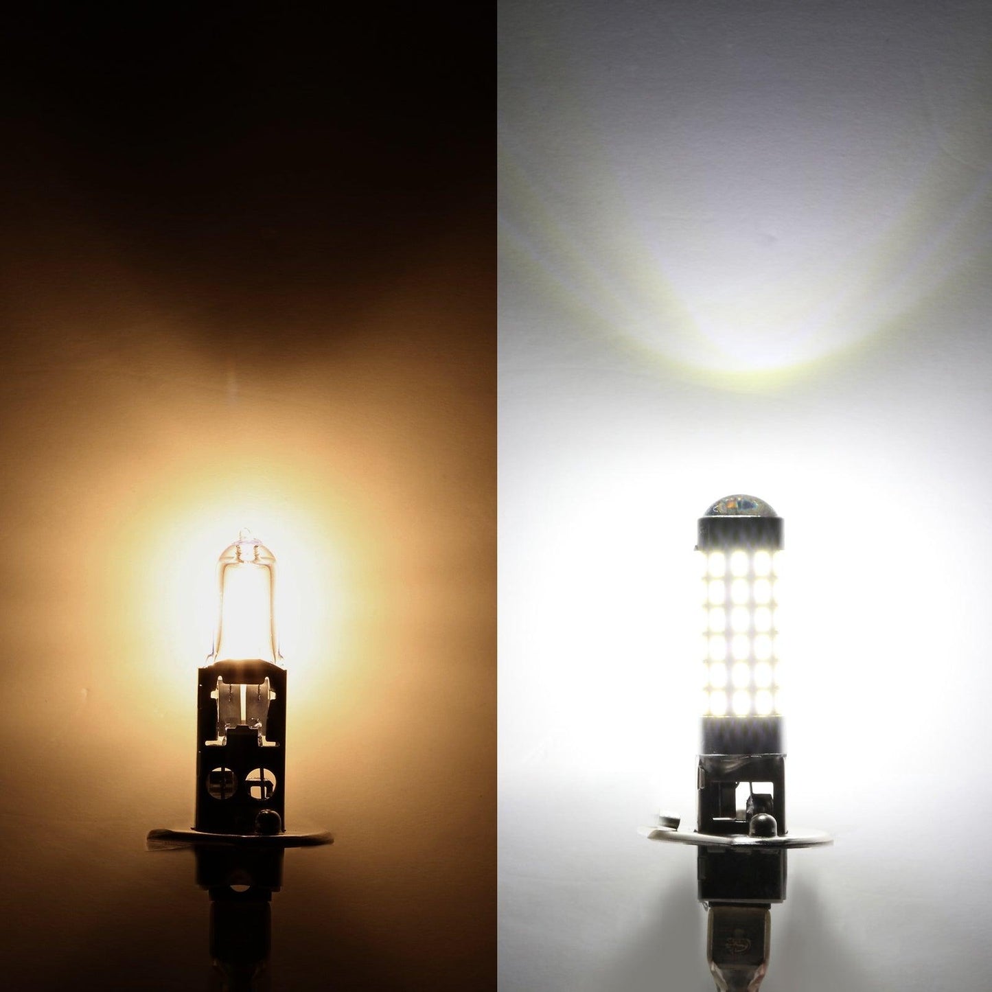 H1 LED Fog Light/DRL Bulbs 6W 2000ML 6500K White | 2 Bulbs