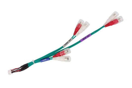 Pre-Out cable for alpine style systems - SPEED LIGHT