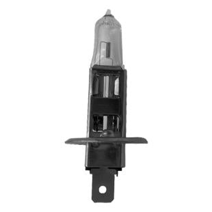Ampoule H1