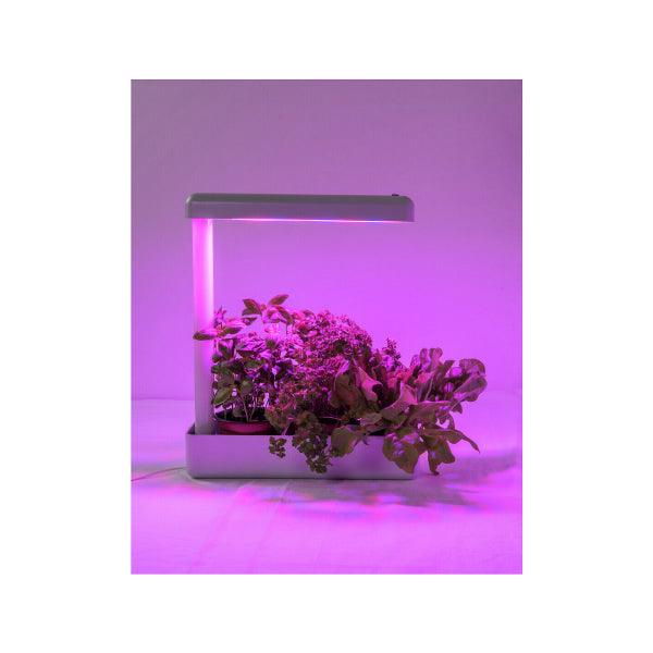 Plant lamp Airam Herby, 650 lm - SPEED LIGHT