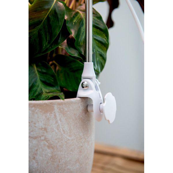 Plant lamp Airam Rose, 290 lm - SPEED LIGHT