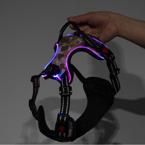 Harness Light5 Doggo Led Harness, Camo - SPEED LIGHT