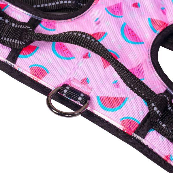 Harness Light5 Doggo Led Harness, Pink - SPEED LIGHT