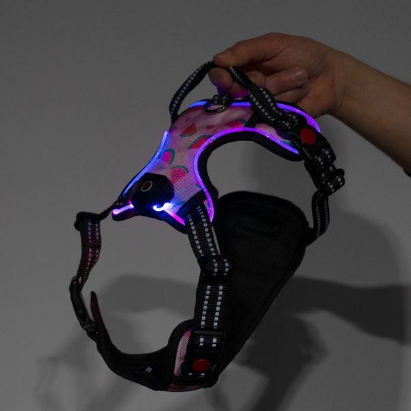 Harness Light5 Doggo Led Harness, Pink - SPEED LIGHT