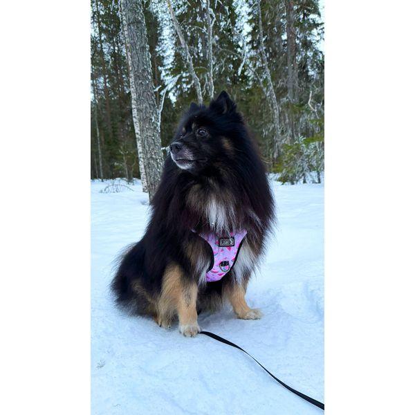 Harness Light5 Doggo Led Harness, Pink - SPEED LIGHT