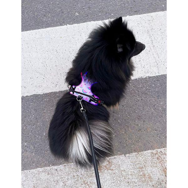 Harness Light5 Doggo Led Harness, Pink - SPEED LIGHT