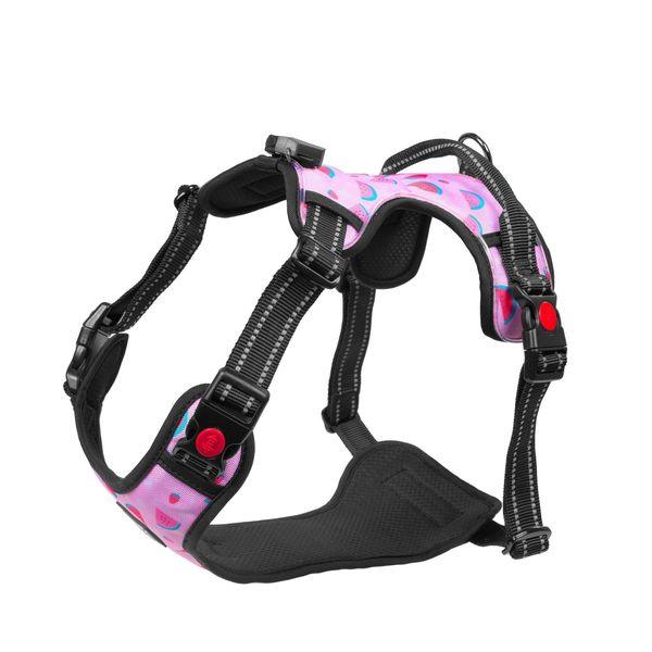 Harness Light5 Doggo Led Harness, Pink - SPEED LIGHT