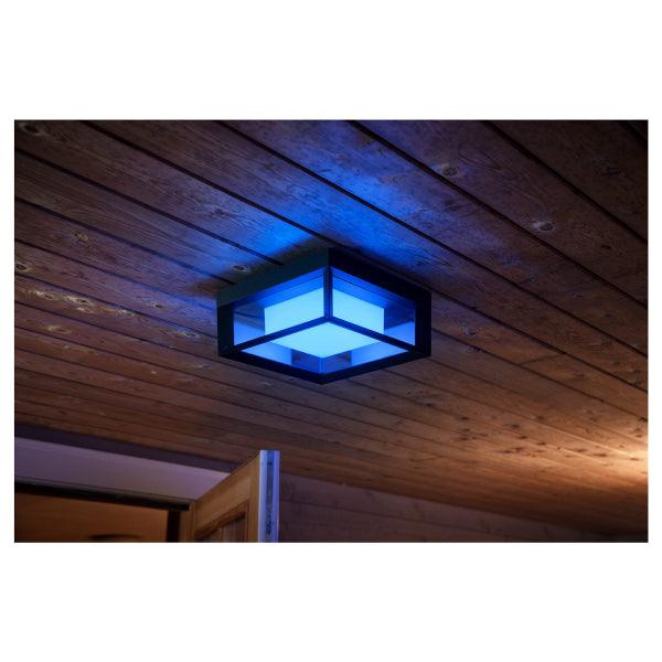 Wall lamp Philips Hue Econic WCA 15W, 2000-6500K - SPEED LIGHT